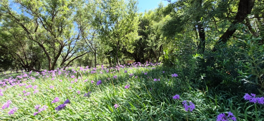 5 Bedroom Property for Sale in Rustenburg Rural North West